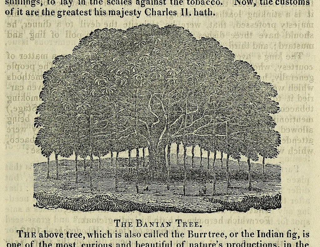 An illustration from The manners and customs of all nations; also, remarkable biographies, notable histories, eccentric sects, singular inventions, natural curiosities, mystical sciences, extraordinary buildings, wonderful animals,- &c., being a compendium of universal information .., 1827, leaf 813