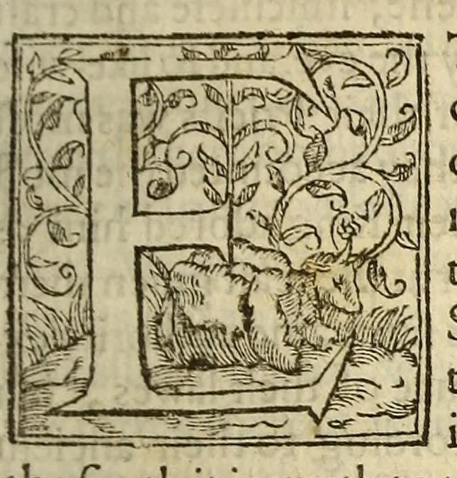An illustration from The manners, lawes, and customes of all nations., 1611, leaf 27