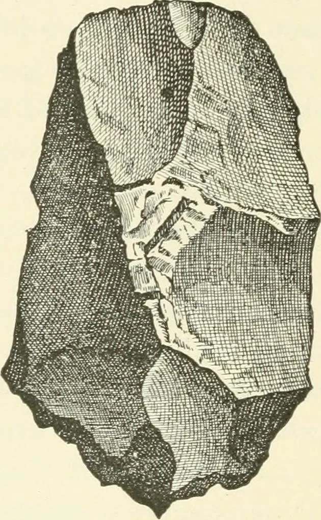 An illustration from Manners and monuments of prehistoric peoples, 1892, leaf 105