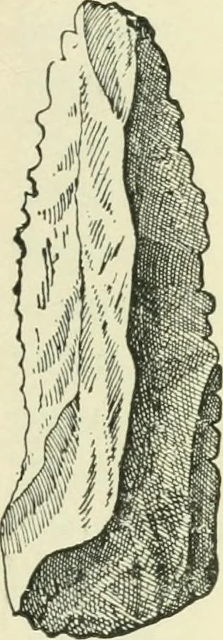 An illustration from Manners and monuments of prehistoric peoples, 1892, leaf 106