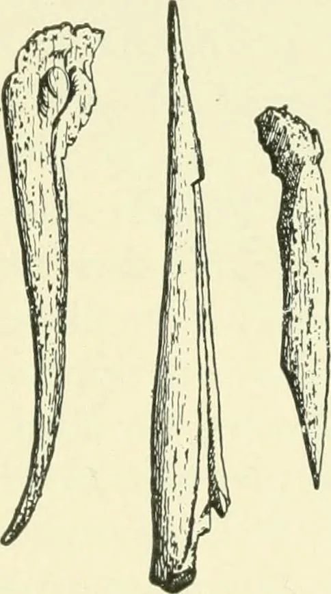 An illustration from Manners and monuments of prehistoric peoples, 1892, leaf 116