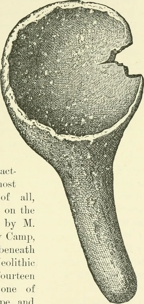 An illustration from Manners and monuments of prehistoric peoples, 1892, leaf 118