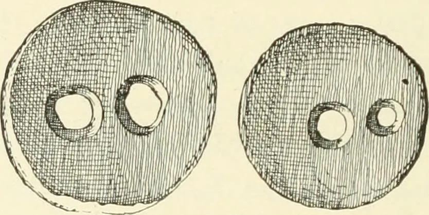 An illustration from Manners and monuments of prehistoric peoples, 1892, leaf 133