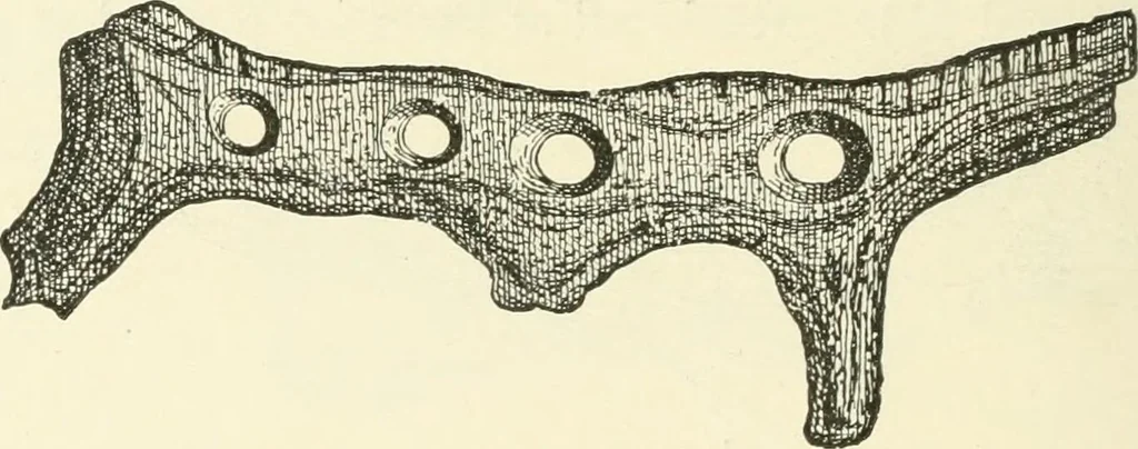 An illustration from Manners and monuments of prehistoric peoples, 1892, leaf 137