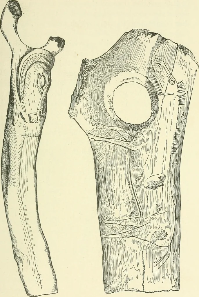 An illustration from Manners and monuments of prehistoric peoples, 1892, leaf 138