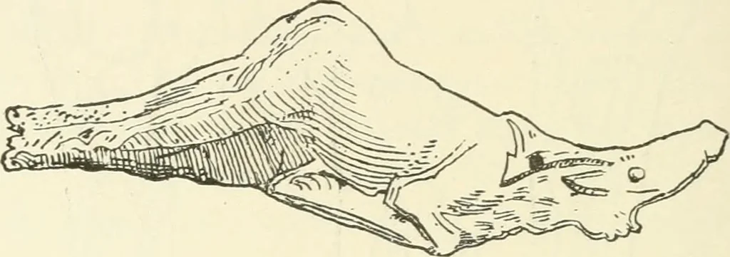 An illustration from Manners and monuments of prehistoric peoples, 1892, leaf 141