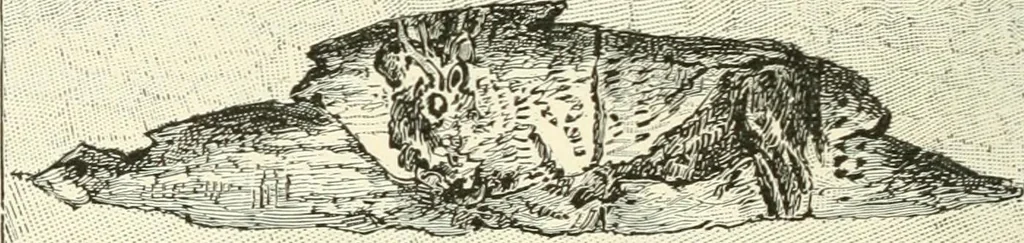 An illustration from Manners and monuments of prehistoric peoples, 1892, leaf 143