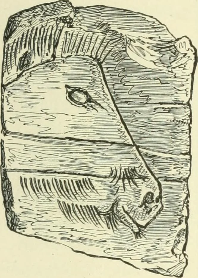 An illustration from Manners and monuments of prehistoric peoples, 1892, leaf 144