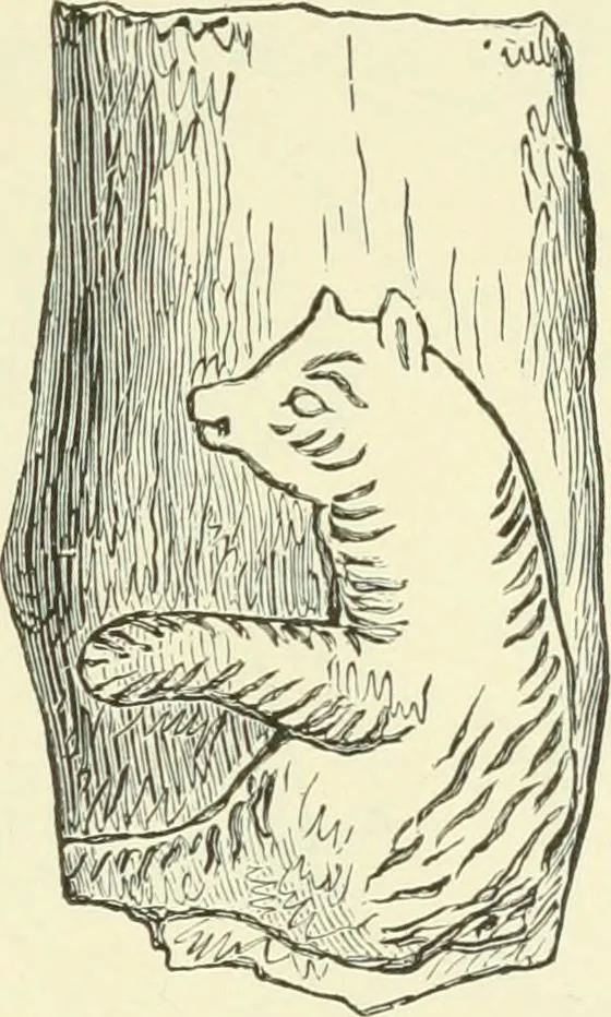 An illustration from Manners and monuments of prehistoric peoples, 1892, leaf 144
