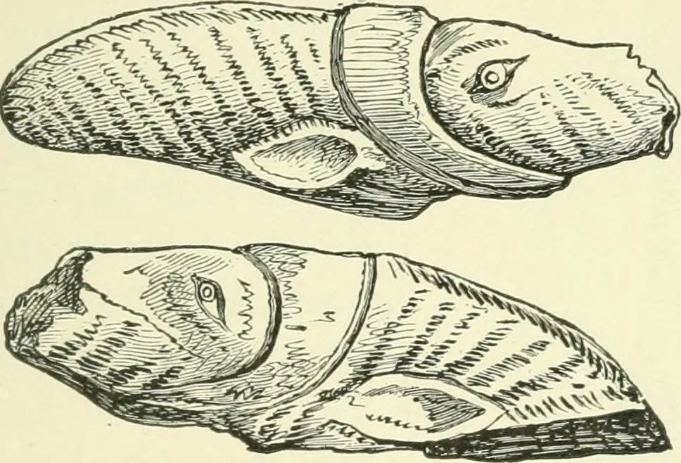 An illustration from Manners and monuments of prehistoric peoples, 1892, leaf 146