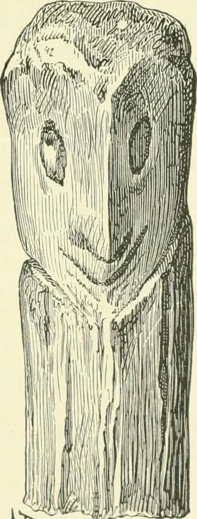 An illustration from Manners and monuments of prehistoric peoples, 1892, leaf 148