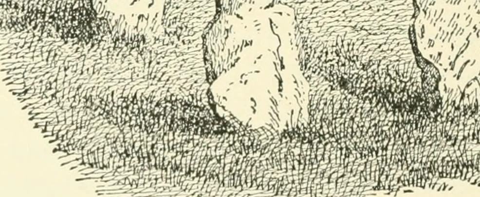 An illustration from Manners and monuments of prehistoric peoples, 1892, leaf 219