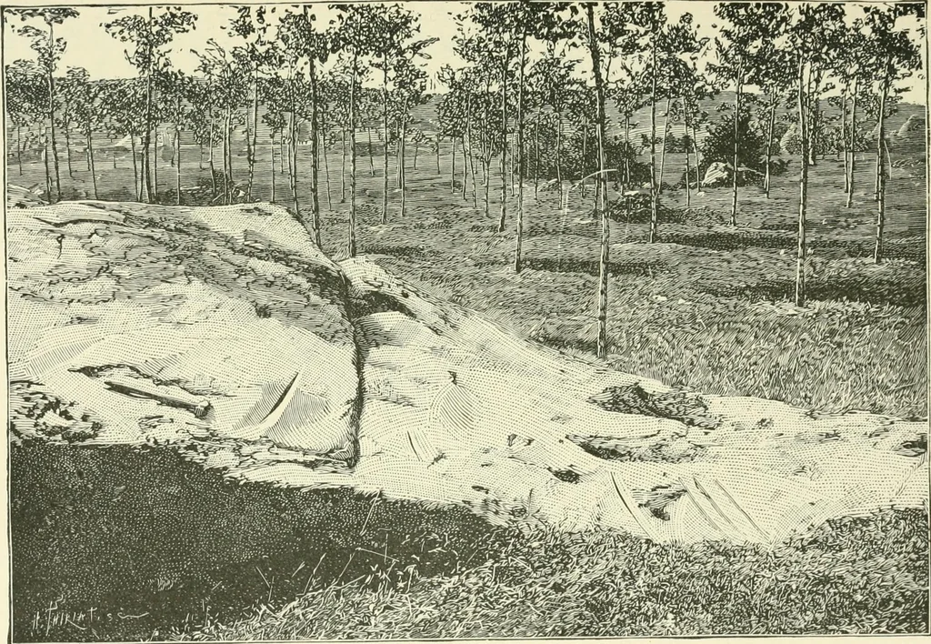 An illustration from Manners and monuments of prehistoric peoples, 1892, leaf 262