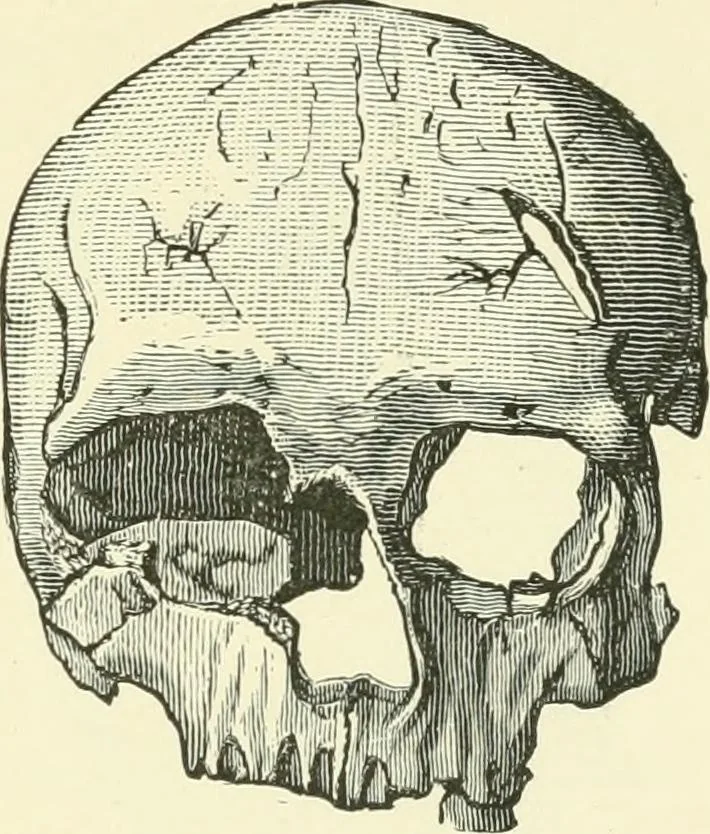 An illustration from Manners and monuments of prehistoric peoples, 1892, leaf 272