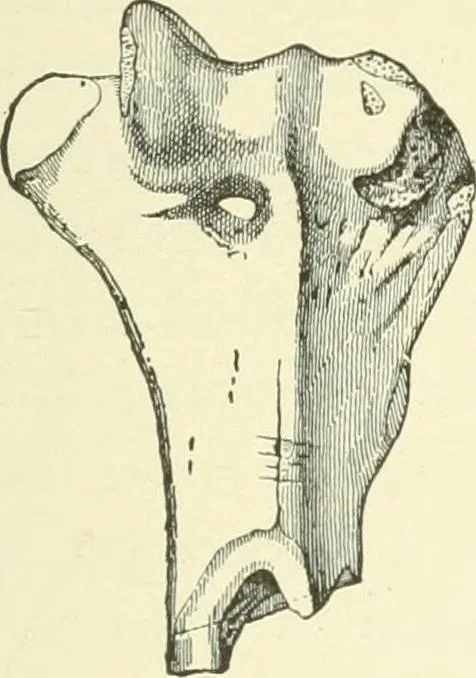 An illustration from Manners and monuments of prehistoric peoples, 1892, leaf 276