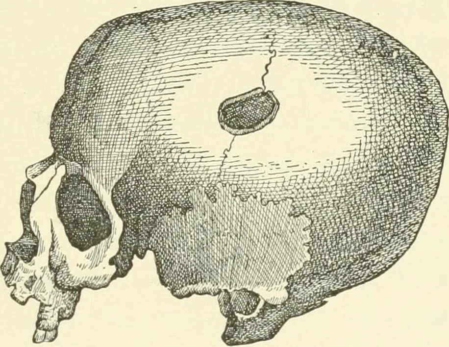 An illustration from Manners and monuments of prehistoric peoples, 1892, leaf 282