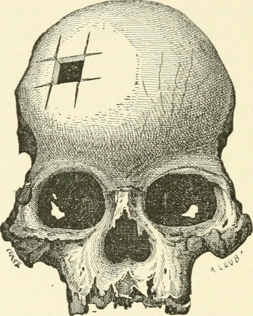 An illustration from Manners and monuments of prehistoric peoples, 1892, leaf 291