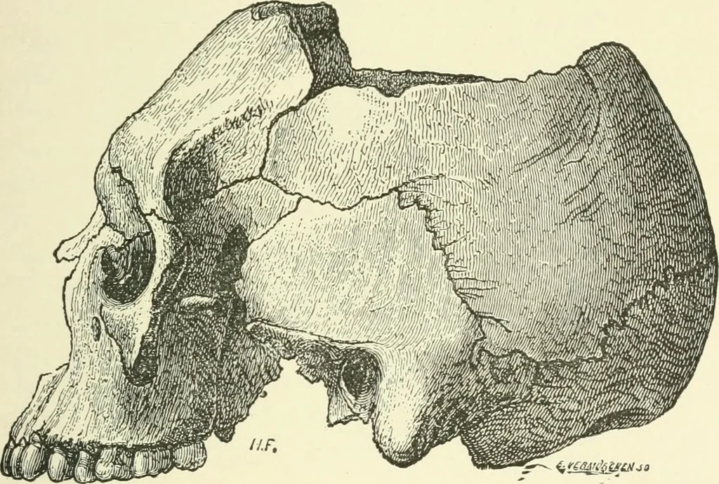 An illustration from Manners and monuments of prehistoric peoples, 1892, leaf 296