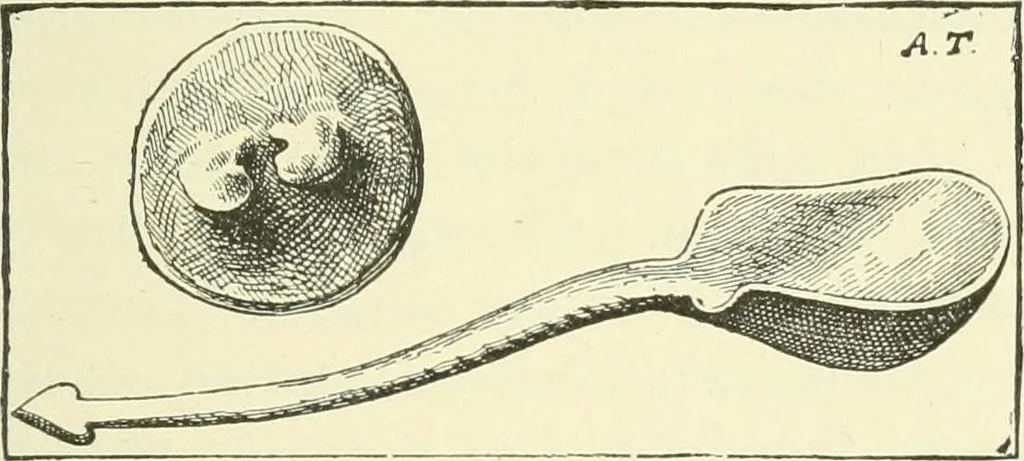 An illustration from Manners and monuments of prehistoric peoples, 1892, leaf 310