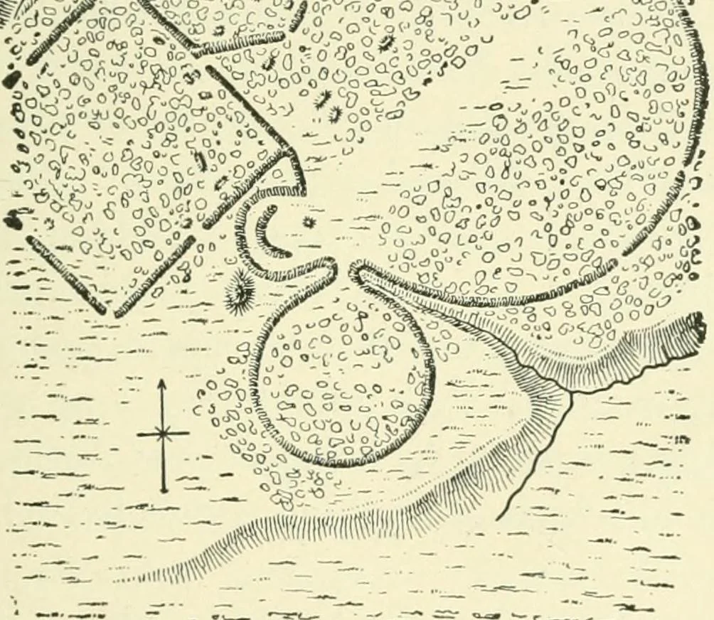 An illustration from Manners and monuments of prehistoric peoples, 1892, leaf 322