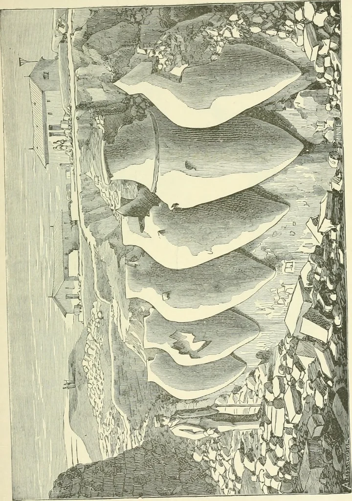 An illustration from Manners and monuments of prehistoric peoples, 1892, leaf 350
