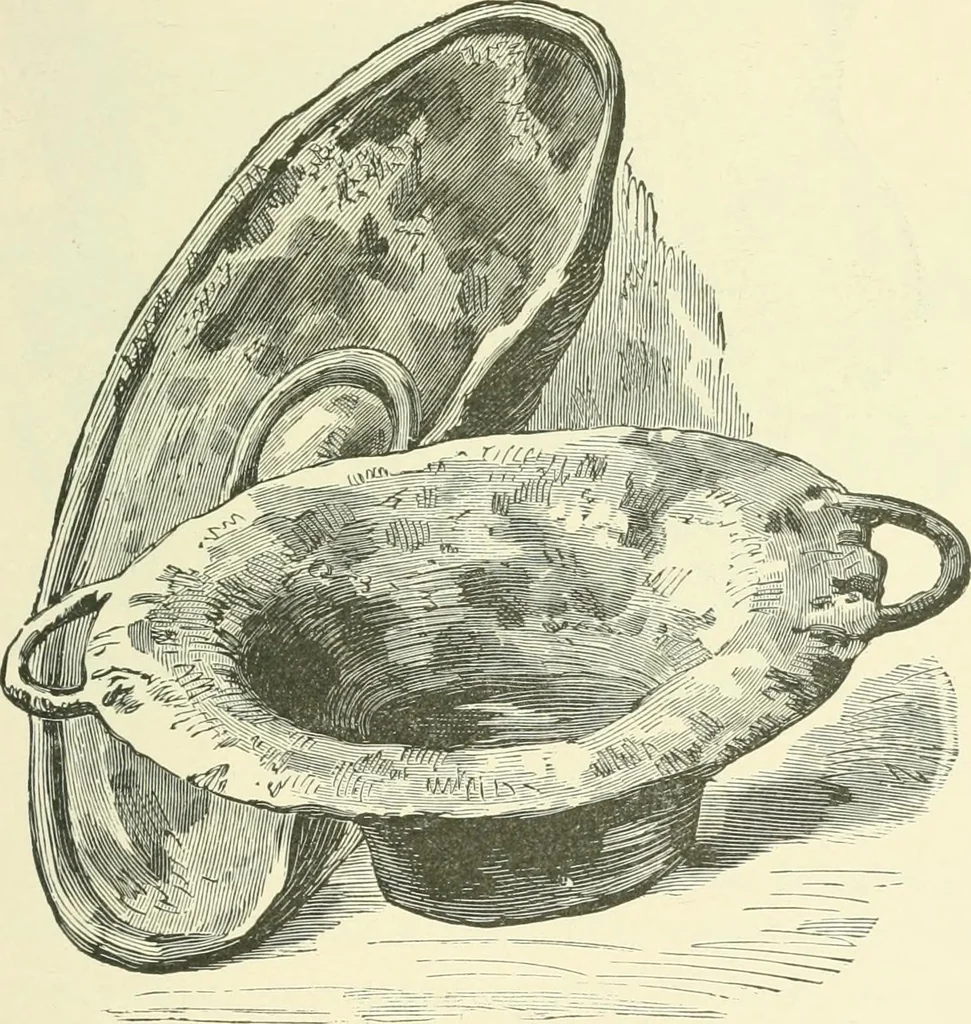 An illustration from Manners and monuments of prehistoric peoples, 1892, leaf 356