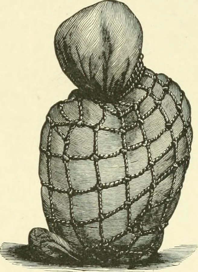 An illustration from Manners and monuments of prehistoric peoples, 1892, leaf 390