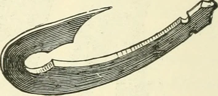 An illustration from Manners and monuments of prehistoric peoples, 1892, leaf 85