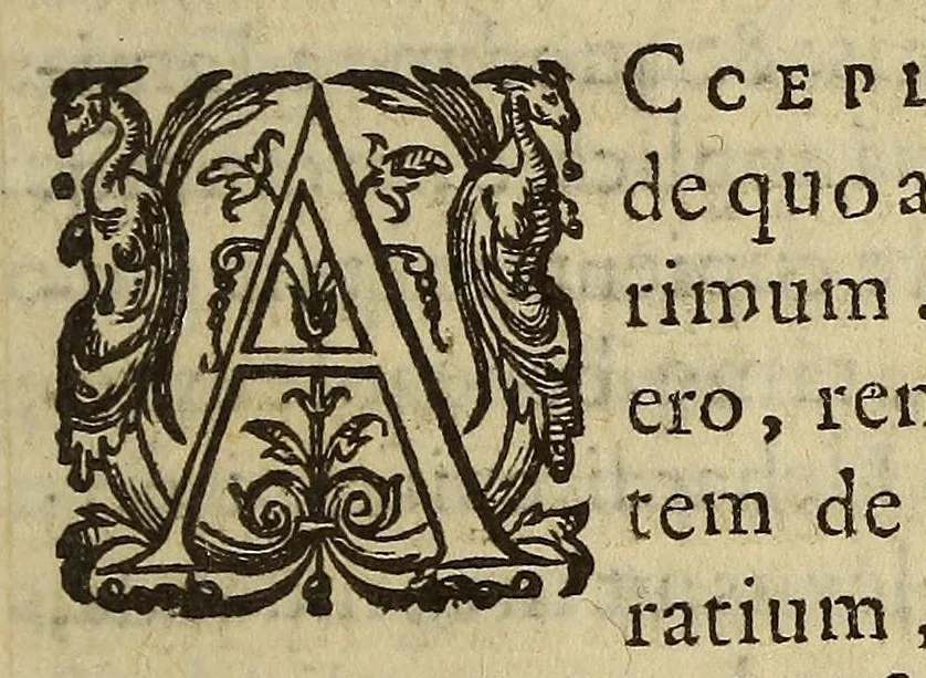 An illustration from M. Antonii Mureti. I.C. as Ciuis Romani Epistolae, 1580, leaf 201