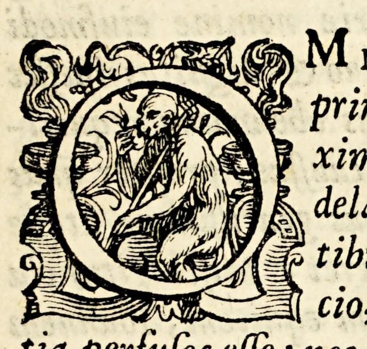 An illustration from M. Antonii Mureti I.C. et. Civis. R. Hymnorum. sacrorum. liber. Eiusdem alia quaedam poematia, 1575, leaf 205