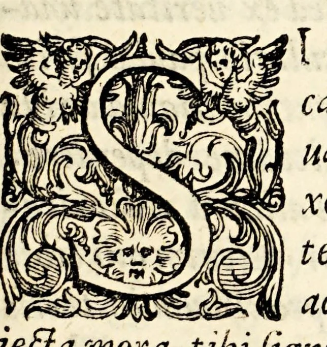 An illustration from M. Antonii Mureti I.C. et. Civis. R. Hymnorum. sacrorum. liber. Eiusdem alia quaedam poematia, 1575, leaf 217