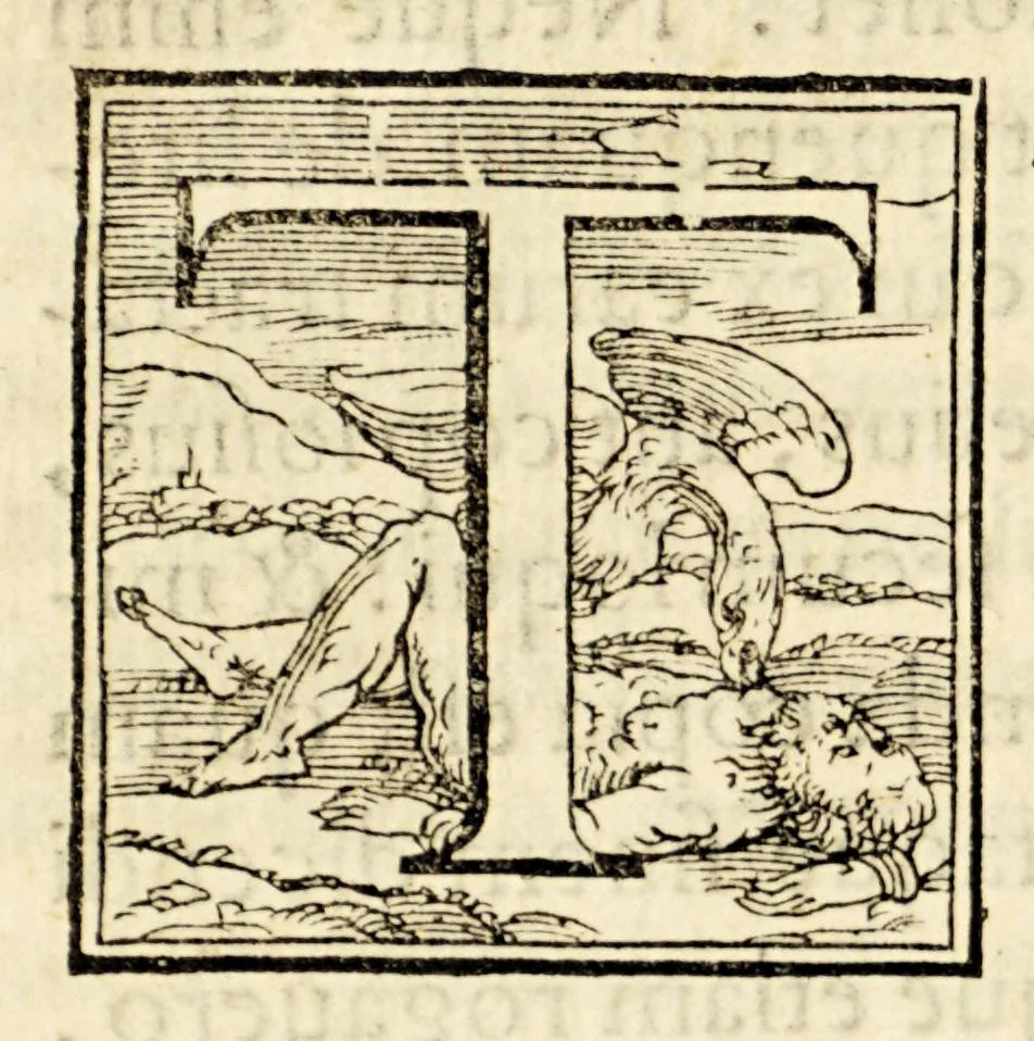 An illustration from M. Antonii Mureti Orationes tres de studiis literarum, Venetiis habitæ, 1555, leaf 24