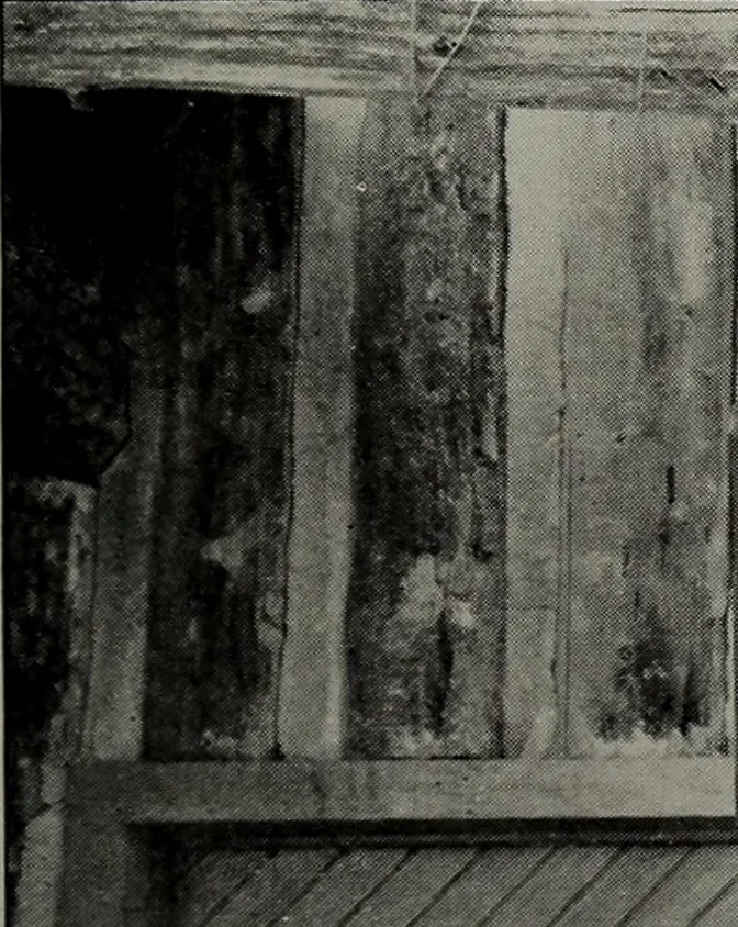 An illustration from The manual arts in New York State, 1916, leaf 16