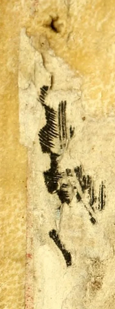 An illustration from Manual de administrar los sanctos sacramentos a los españoles, y naturales desta Nueua España conforme à la reforma de Paulo V. Pont. Max., 1638, leaf 2
