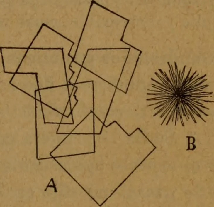 An illustration from Manual de anatomía patológica general : seguida de un resumen de microscopia aplicada a la histología y bacteriología patológicas, 1896, leaf 24