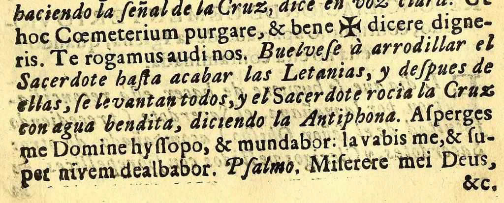 An illustration from Manual de los santos sacramentos conforme al ritual de Paulo V. : Formado por mandado del ilustrissimo, y excelentissimo seor D. Juan de Palafox, y Mendoza, siendo obispo de la Puebla de los Angeles, electo arçobispo de Mexico ... Impresso con privilegio en Mexico el Ao de 1642. Repetida segunda vez su ediccion el Año de 1671. en Mexico con las dos licencias del superior govierno, y ecclesiastica, 1691, leaf 171