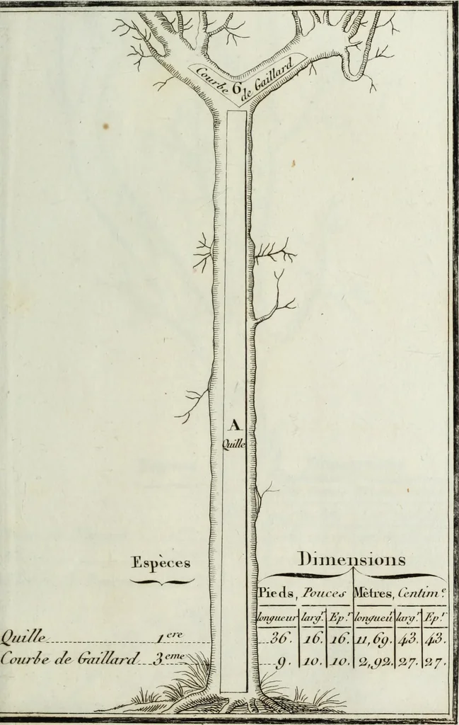 An illustration from Manuale ad uso degli agenti dei boschi e della marina ..., 1807, leaf 280