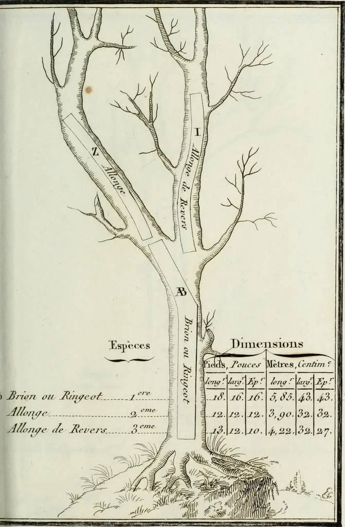 An illustration from Manuale ad uso degli agenti dei boschi e della marina ..., 1807, leaf 282