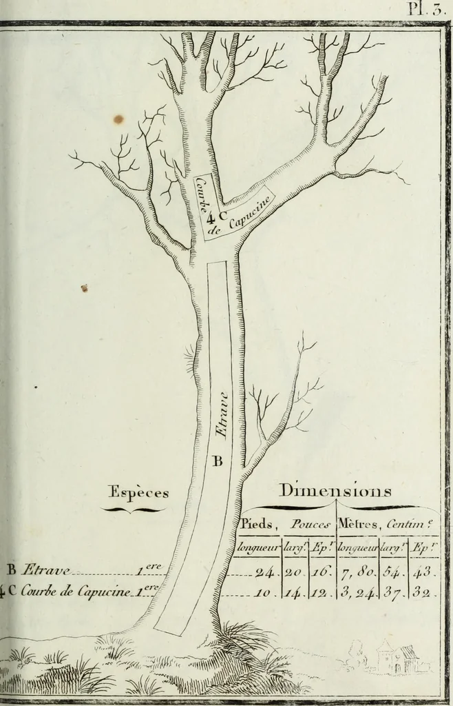 An illustration from Manuale ad uso degli agenti dei boschi e della marina ..., 1807, leaf 284