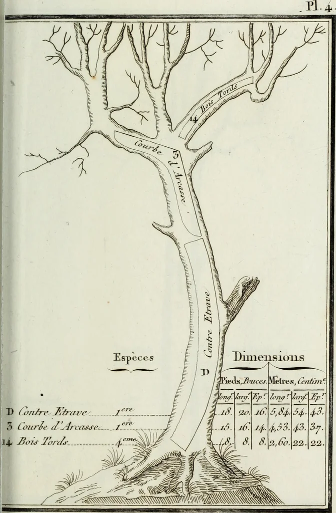 An illustration from Manuale ad uso degli agenti dei boschi e della marina ..., 1807, leaf 286