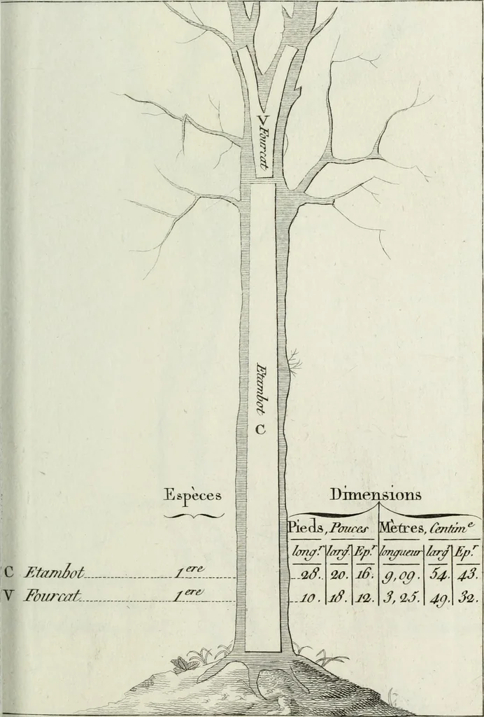 An illustration from Manuale ad uso degli agenti dei boschi e della marina ..., 1807, leaf 288
