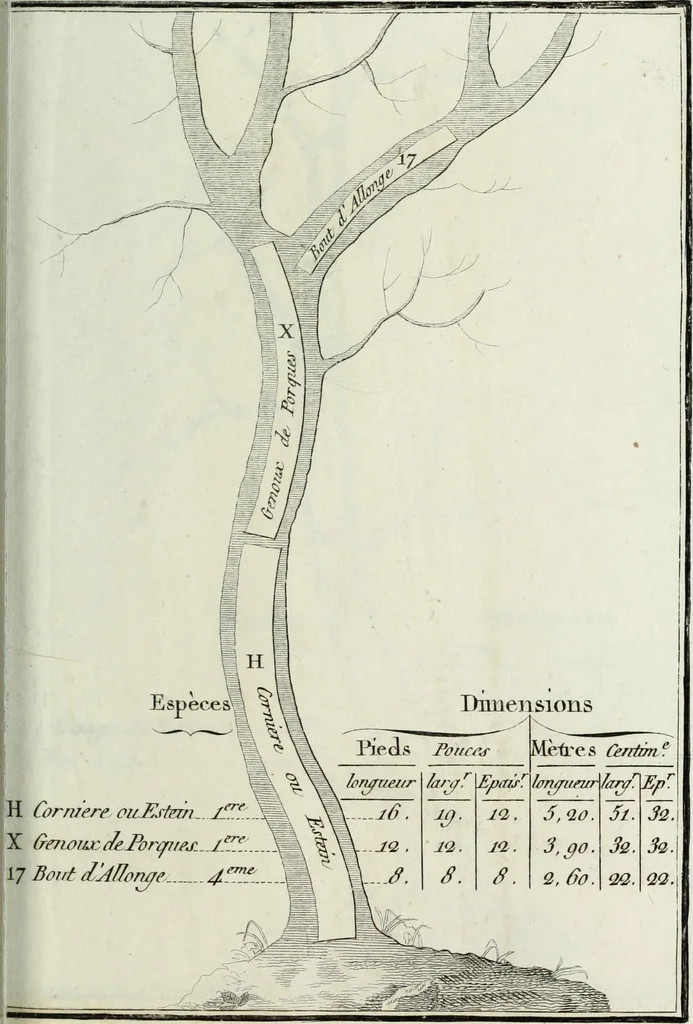 An illustration from Manuale ad uso degli agenti dei boschi e della marina ..., 1807, leaf 290
