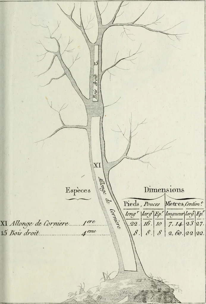 An illustration from Manuale ad uso degli agenti dei boschi e della marina ..., 1807, leaf 292
