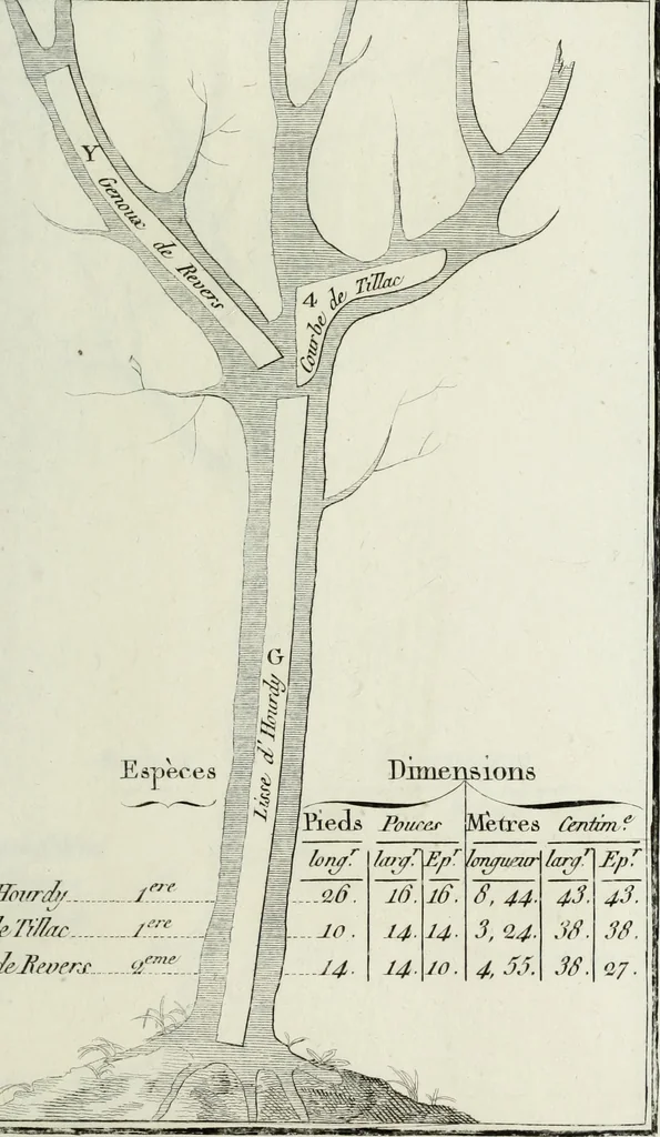 An illustration from Manuale ad uso degli agenti dei boschi e della marina ..., 1807, leaf 294