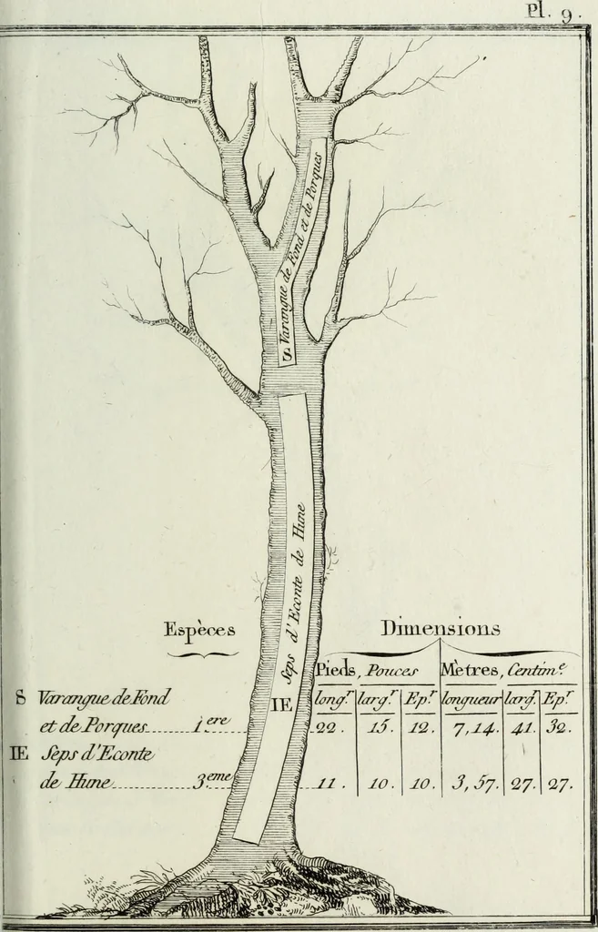 An illustration from Manuale ad uso degli agenti dei boschi e della marina ..., 1807, leaf 296