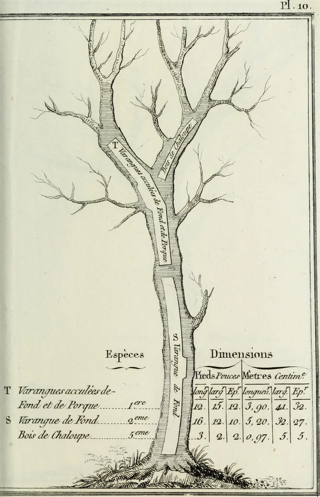 An illustration from Manuale ad uso degli agenti dei boschi e della marina ..., 1807, leaf 298
