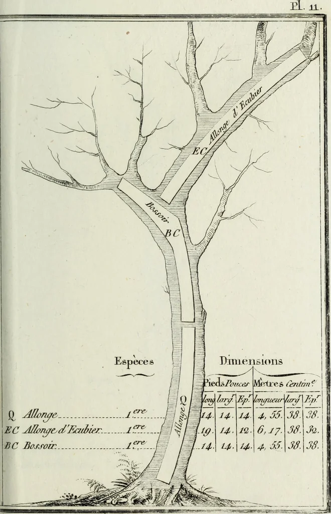 An illustration from Manuale ad uso degli agenti dei boschi e della marina ..., 1807, leaf 300