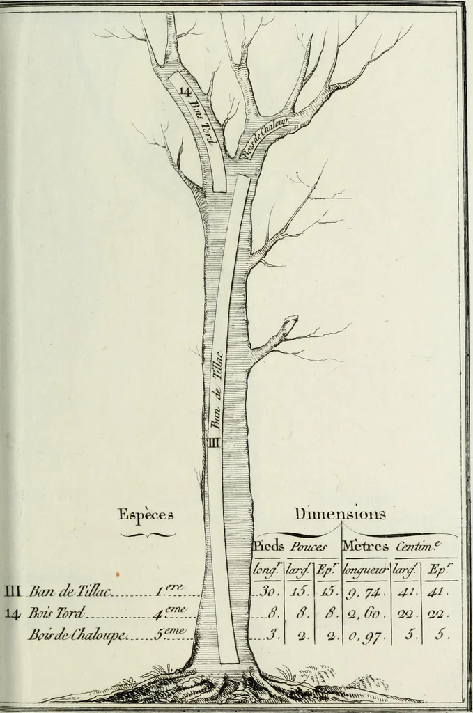 An illustration from Manuale ad uso degli agenti dei boschi e della marina ..., 1807, leaf 302