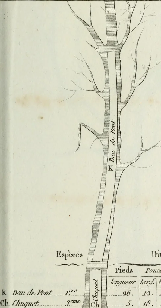 An illustration from Manuale ad uso degli agenti dei boschi e della marina ..., 1807, leaf 306