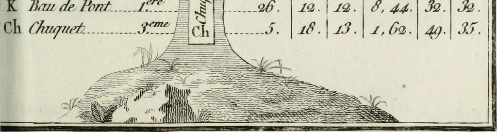An illustration from Manuale ad uso degli agenti dei boschi e della marina ..., 1807, leaf 306